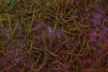 Abstract CGI composition, messy strings virtual backdrop. Wallpaper for graphic design. 3D render.