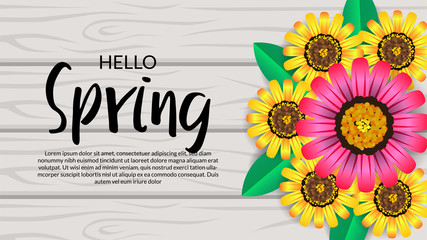 Hello Spring season colorful flower blossom from top view on the wood background