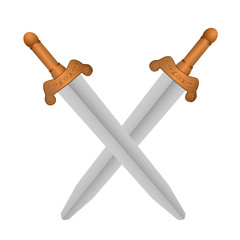 Two swords isolated on white background. Vector illustration of two swords