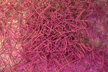 Naklejka premium Decorative, illustrations CGI composition, messy strings virtual backdrop, for design texture background. 3D render.