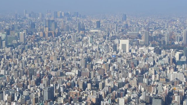 tokyo201902D4y