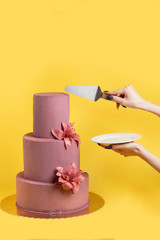 conceptual photo of cherry cake with flowers, biscuit cake with mascarpone, mastic, wedding cake on a yellow background