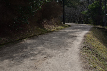 日本の整備された登山道