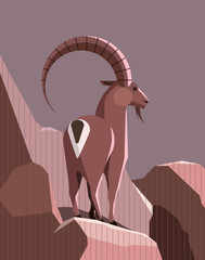 Mountain goat in the light of the setting sun