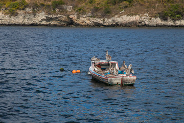  Havana, Cuba - 22 January 2013: An old fishing boat in the middle of the sea with cormorants on...