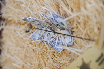 Billetes de dolar atados a bala de paja