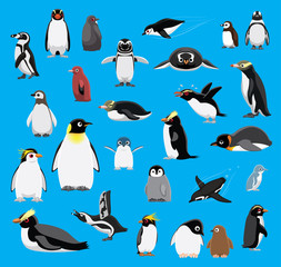 Various Penguin Cartoon Blue Background Vector Illustration