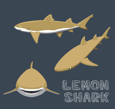 Lemon Shark Cartoon Vector Illustration