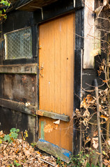Run down garden shed door