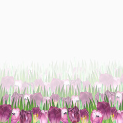 Spring tulips. Floral border on watercolor background