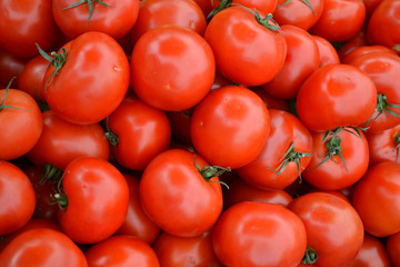 Big red tomatoes