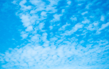 Clouds and sky and trees