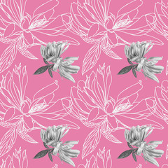  Seamless pattern with monochrome peony flowers on pink background.