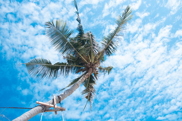 Clouds and sky and trees