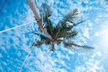 Clouds and sky and trees