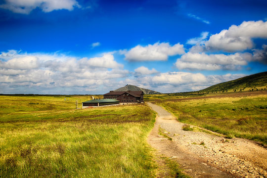 Wooden hut in Moss in Giant mountains in National park in Czech republic.