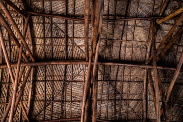 Wood texture background