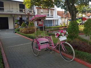 Fototapeta na wymiar Pink bicycle in the city park