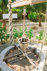 Pond and flower garden arrangement