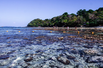 Sea and coral at the beach