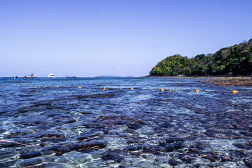 Sea and coral at the beach