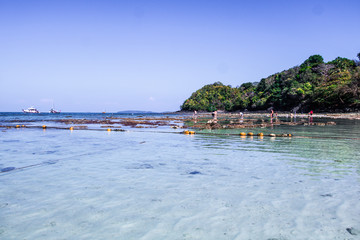 Sea and coral at the beach