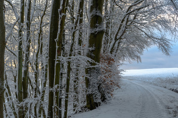 Winterlanschaft