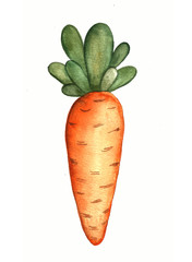 vegetable carrot illustration watercolor
