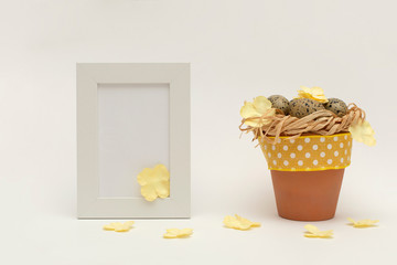Easter composition with eggs, yellow flowers on white background. Eco style. Space for text 