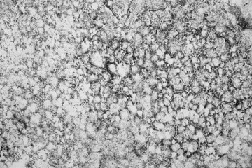 mold texture