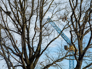 Heavy construction crane with trees infront