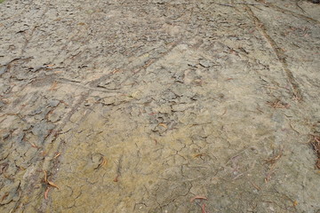 dry crack ground