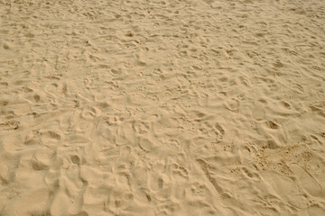 sea sand with footprints