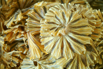 Sun dried fish, preserved food at marketplace, preservation food in Thai culture at Thailand. Traditional preservation food concept.