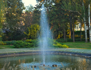 Jet of water from fountain in small lake with trees in background