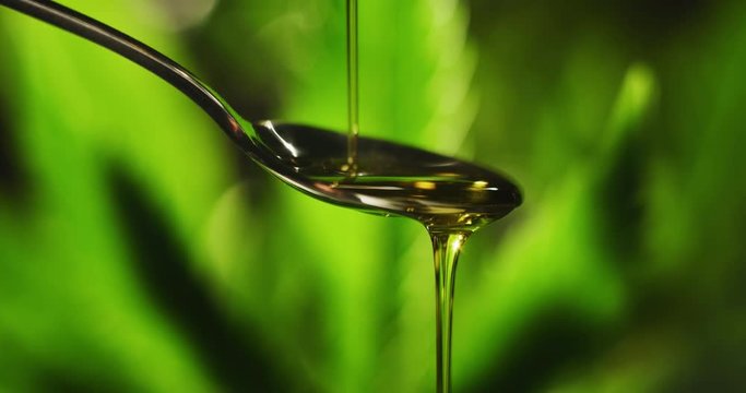 Slow motion macro close up of spoon dosing a biological and ecological hemp plant herbal pharmaceutical cbd oil.