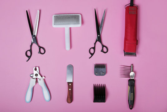 Cockapoo grooming tools sales