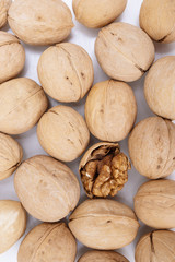 Walnut kernels  on a white background