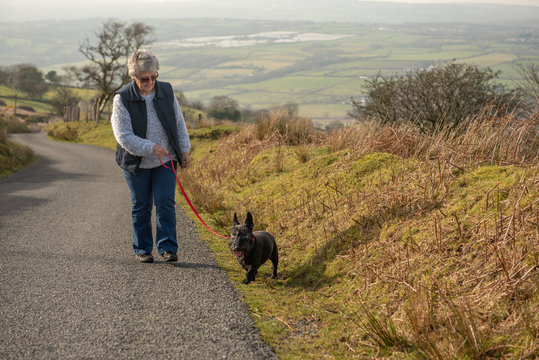 Senior Woman And Terrier Dog Walking On A Mountain Road 