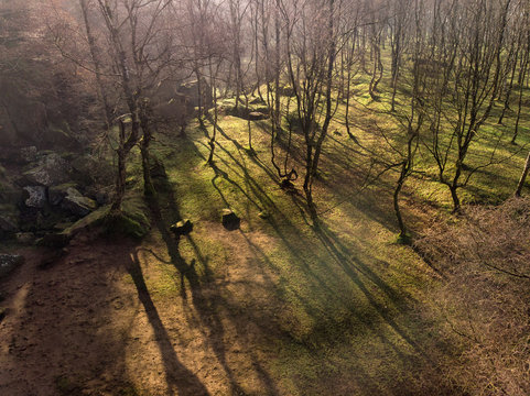 Stunning abstract aerial drone landscape image of early morning shadows through trees in forest in the Peak District in England