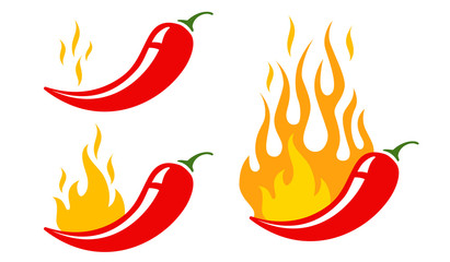 hot chilli pepper - obrazy, fototapety, plakaty
