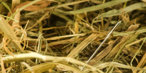 image of a needle in a haystack