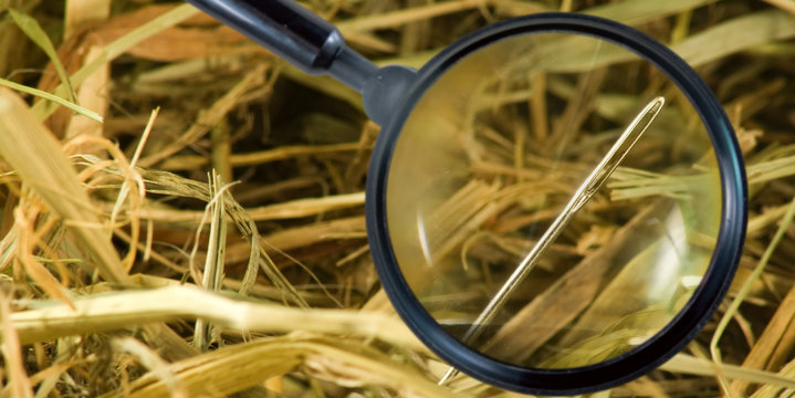 image of a magnifying glass and needles in a haystack