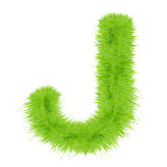 Grass letter on white background