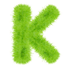 Grass letter on white background