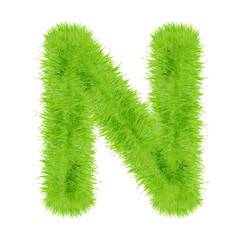 Grass letter on white background