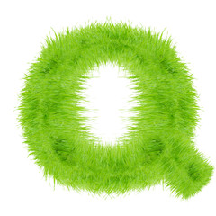 Grass letter on white background