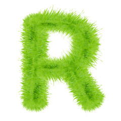 Grass letter on white background