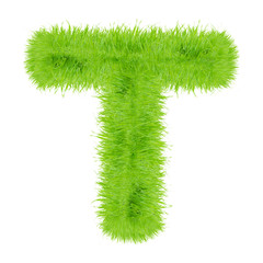Grass letter on white background