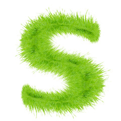 Grass letter on white background